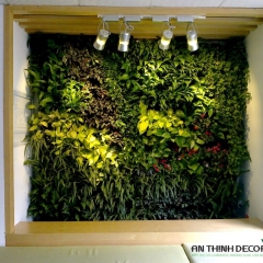 Tường cây tại 262 Nguyễn Huy Tưởng, Hà Nội