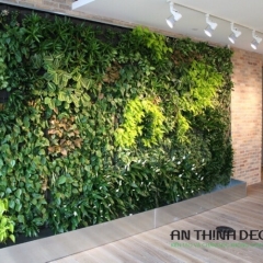 Tường cây sảnh văn phòng tại Trần Duy Hưng, Hà Nội